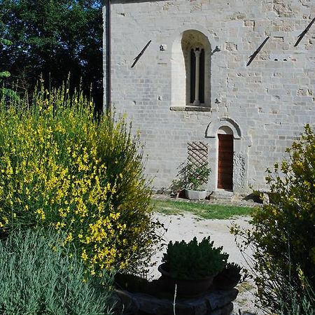 B&B San Paterniano Cingoli Kültér fotó